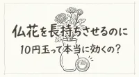 仏花を長持ちさせるのに10円玉って本当に効くの？